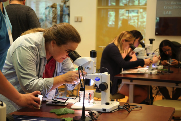 Participants utilize the microscopes within the Q?rius Lab to examine specimens and illustrate them.  