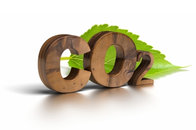 CO2 wooden letters