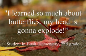 I learned so much about butterflies, my head is gonna explode" second grade student quote on picture of fallen leaves