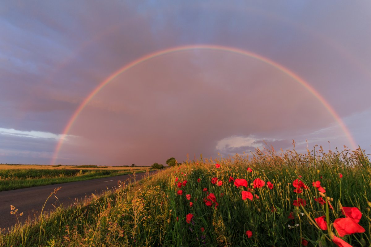 Rainbow appearing after a rainstorm 