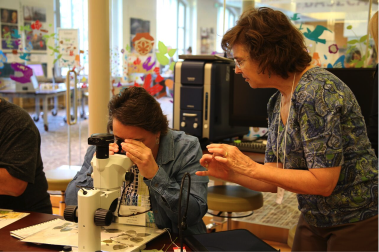 Sally Bensusen instructs a participant on how to use a microscope for scientific illustration. 