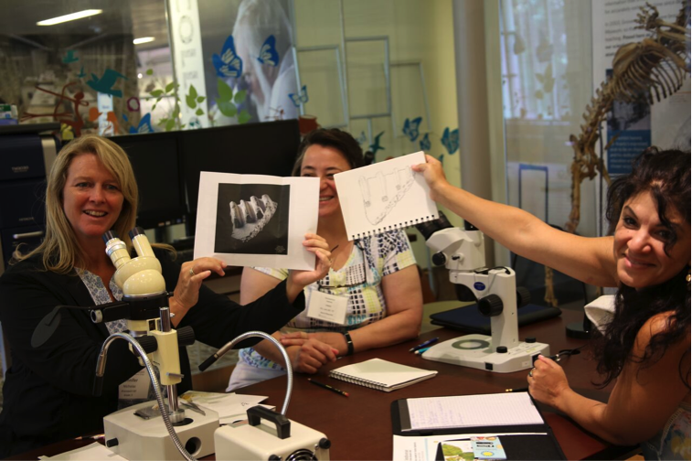 A group of participants displays their speed drawing of a fossilized jawbone.