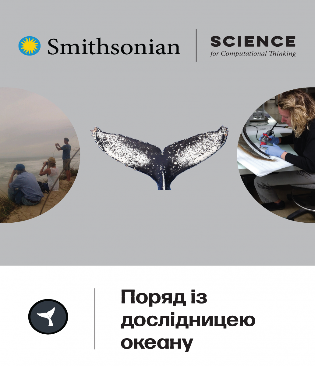 Up close with a marine scientist cover
