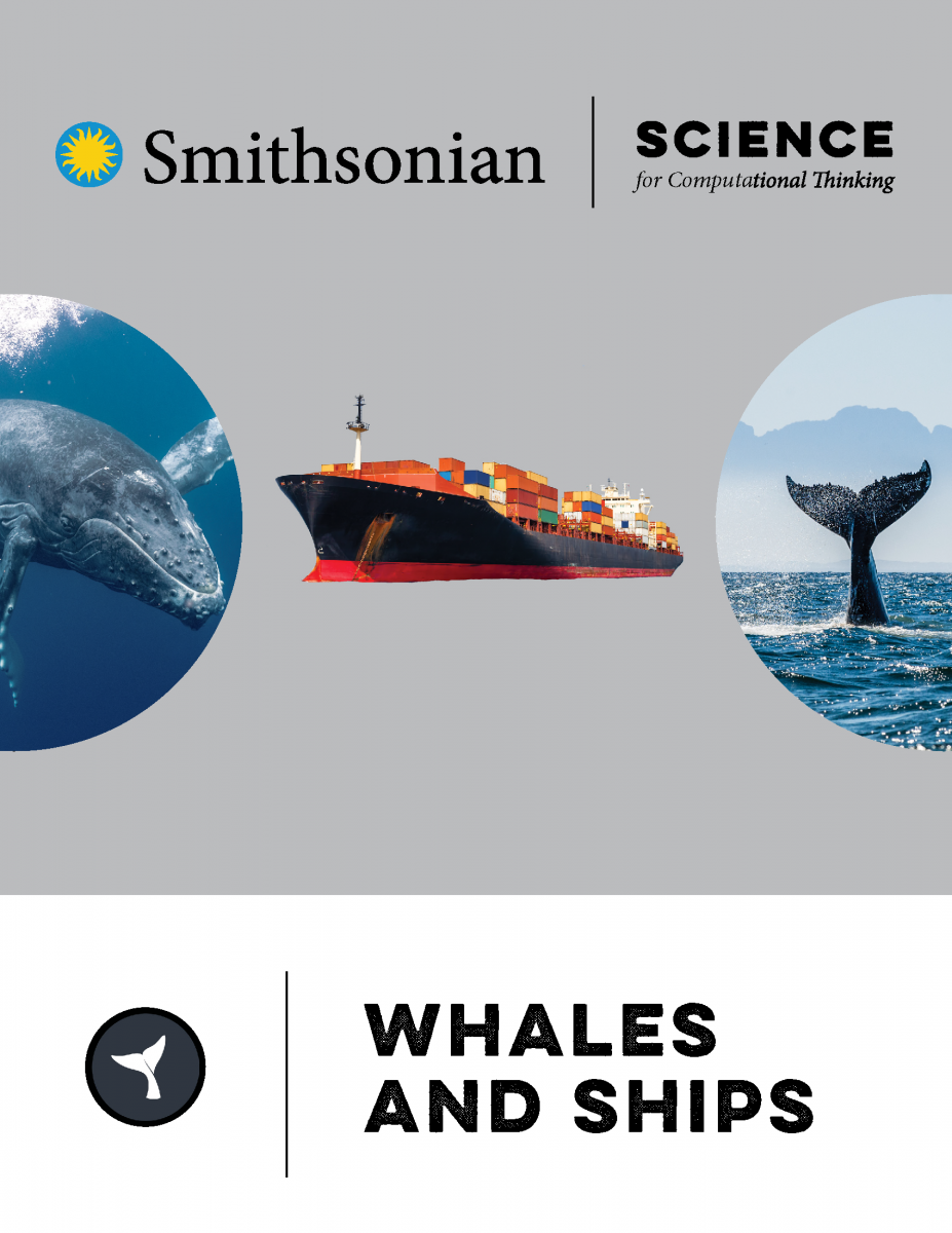 whales and ships sharing the ocean cover