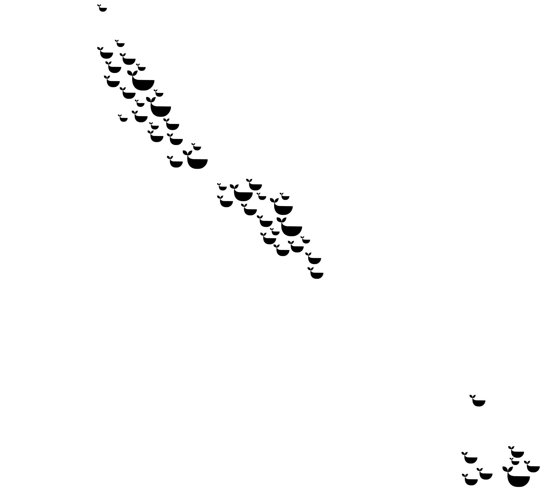 whale locations