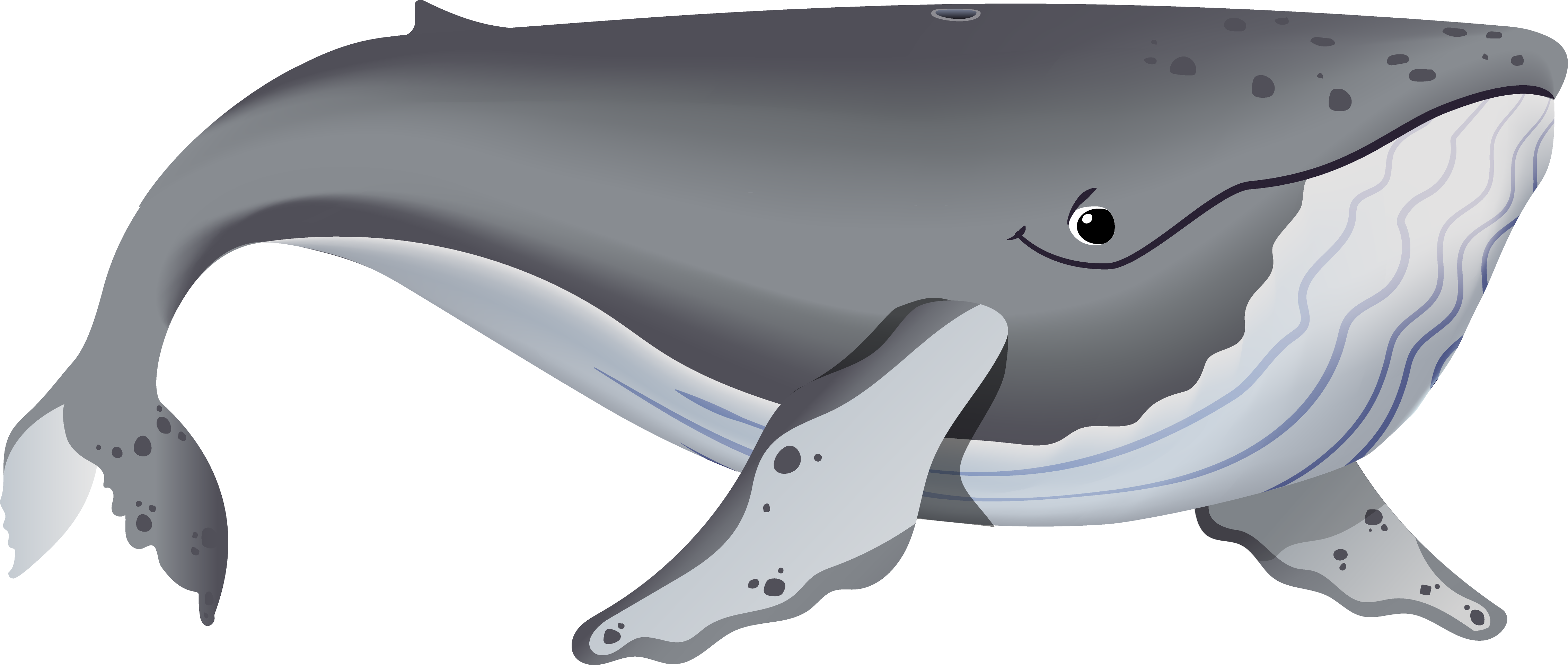 Herbie the whale