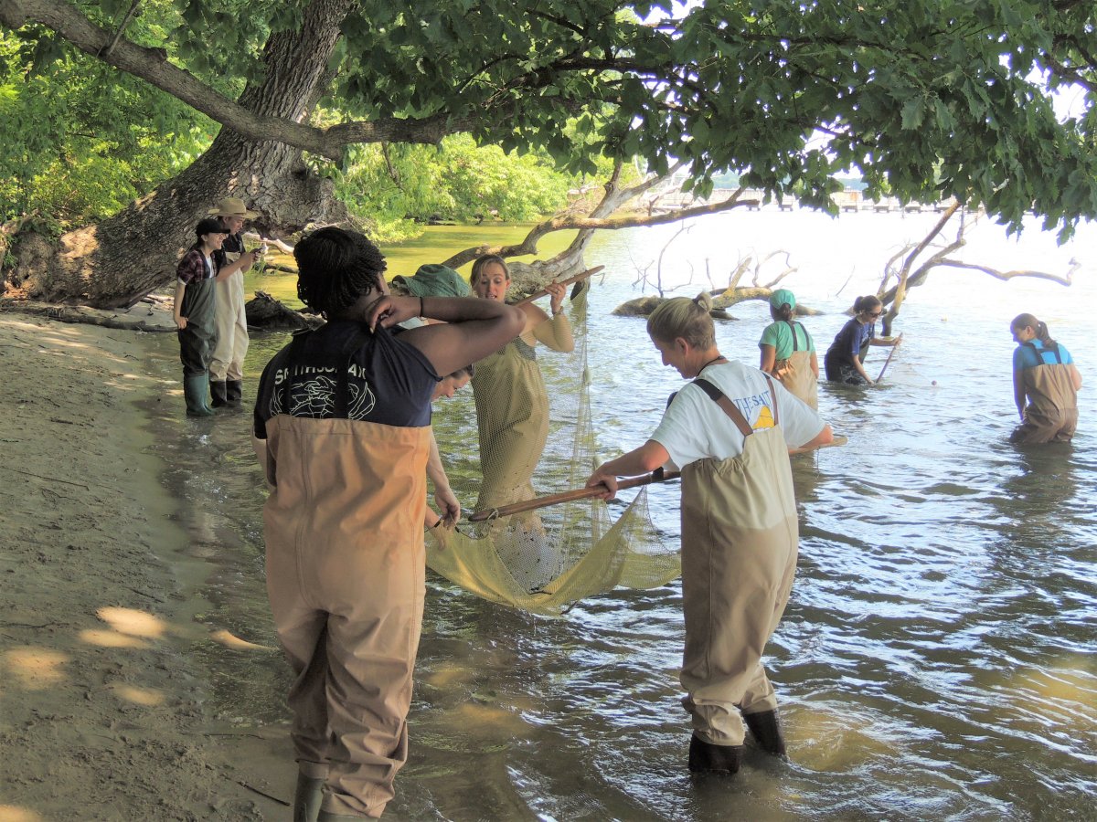 Image of educators in a body of water