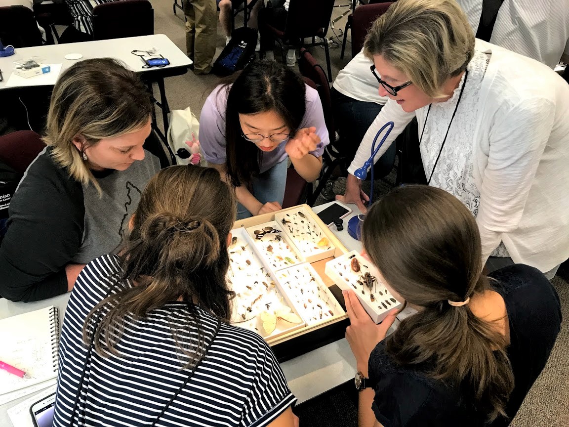 Image of educators chatting around a table