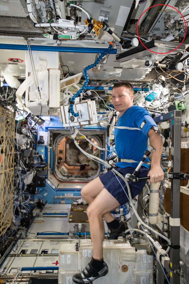 Terry Virts exercises on a bicycle ergometer on the International Space Station.