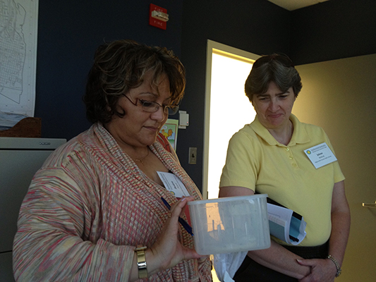 Teachers at the mosquito lab