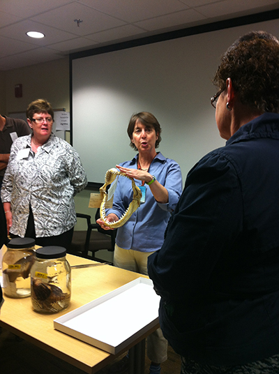 Teachers at National Museum of Natural History