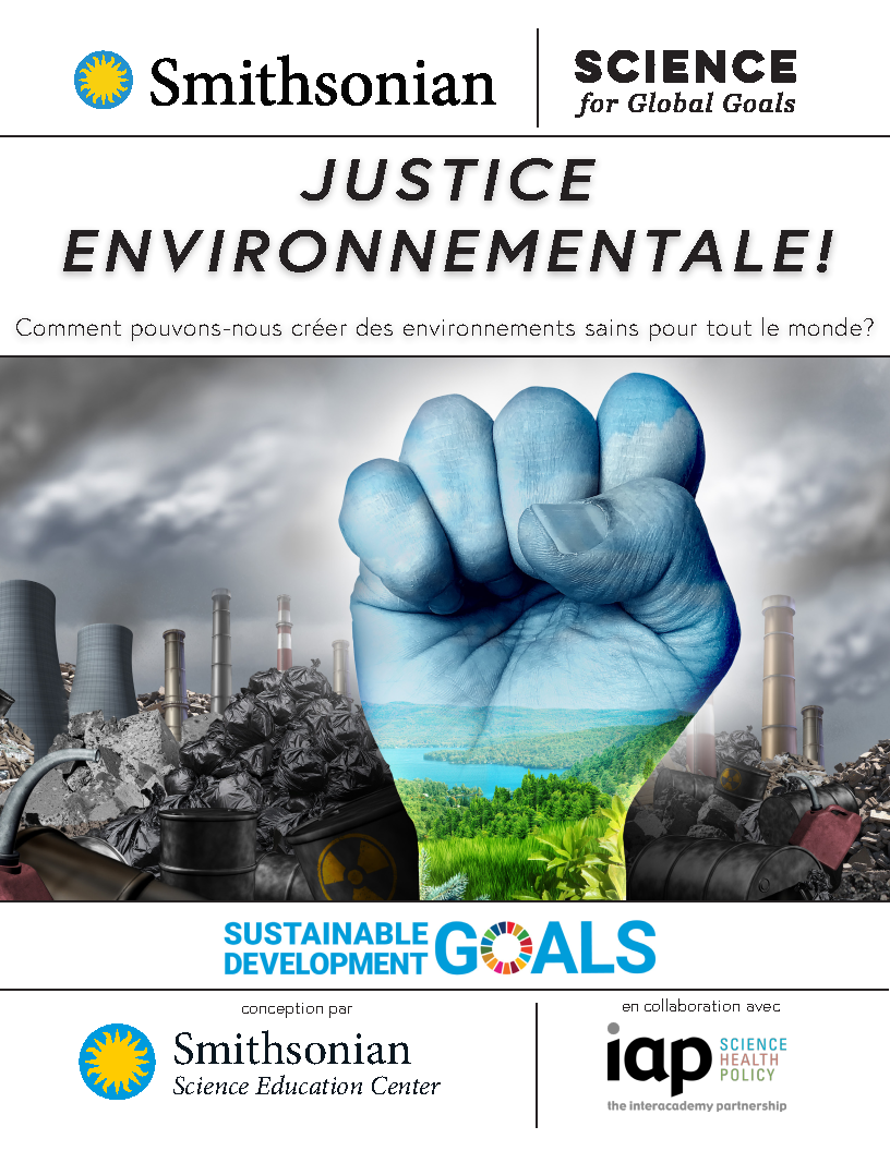 Cover of Environmental Justice in French