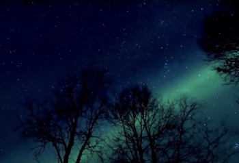 Night sky with silhouettes of trees with a bright green streak in the sky
