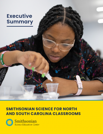 Cover of the EIR executive summary