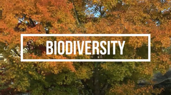 White text that says Biodiversity layered overtop of a photo of trees with the leaves changing from green to orange