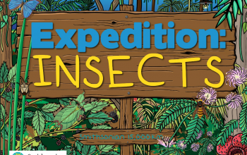 Title screen for the interactive e-Book, Expedition: Insects