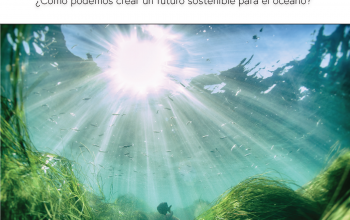 Cover of the Spanish Ocean guide