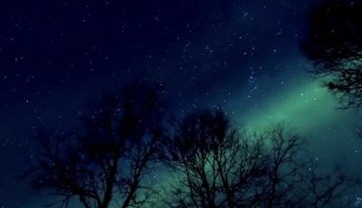 Night sky with silhouettes of trees with a bright green streak in the sky