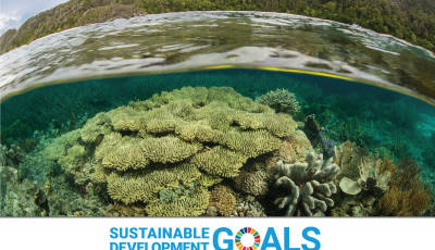 Cover of Biodiversity! guide in Spanish