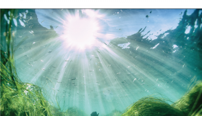Cover of the Spanish Ocean guide
