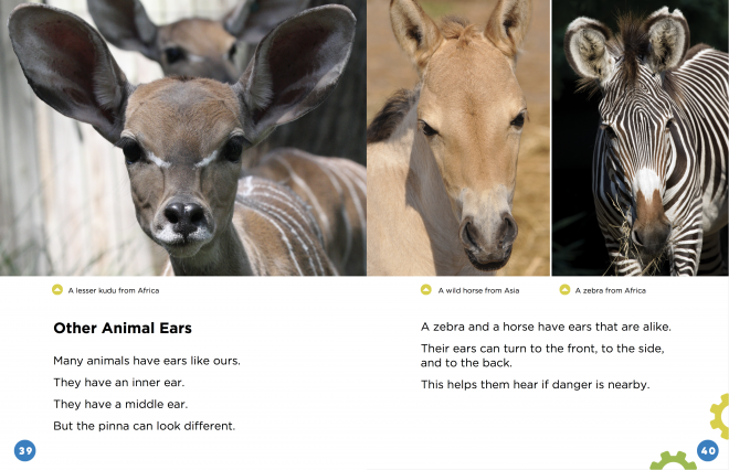 Image of interior page for Beats and Banjos