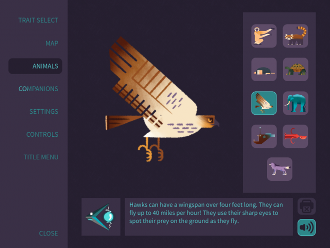 Screenshot of an educational screen from the game, Morphy. Screen shows a hawk along with the definition. 