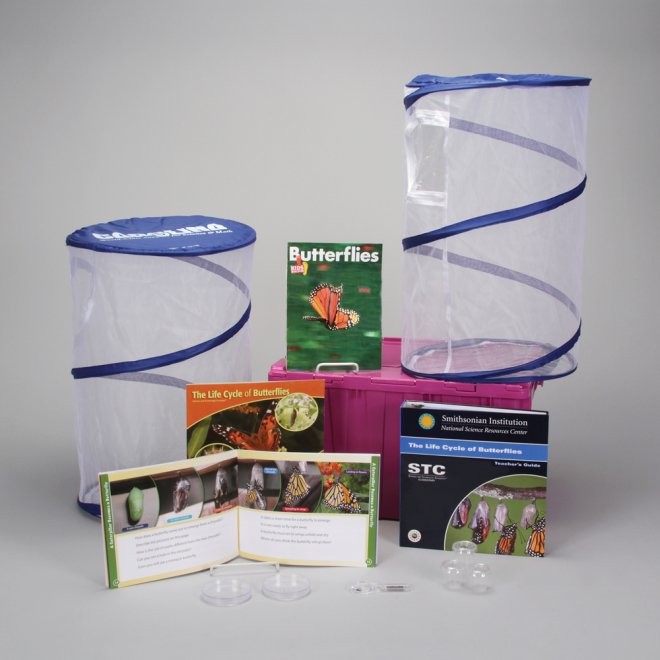 Butterflies in the Classroom Kits