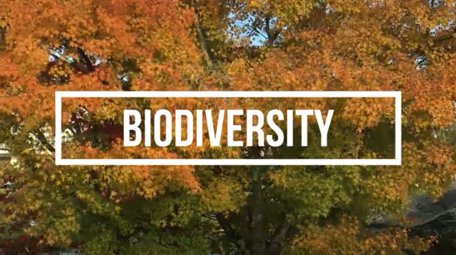 White text that says Biodiversity layered overtop of a photo of trees with the leaves changing from green to orange
