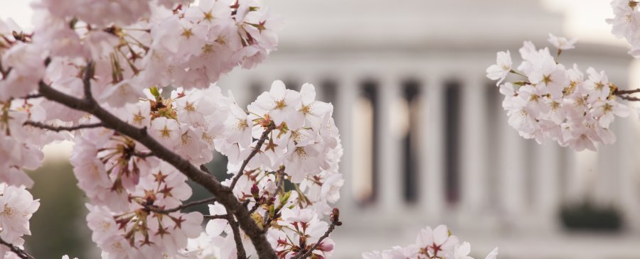 Education | Smithsonian Science Education Center